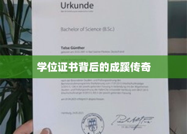 学位证书背后的成蹊传奇