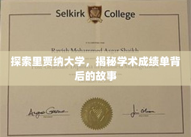 里贾纳大学揭秘，揭开成绩单背后的学术奥秘