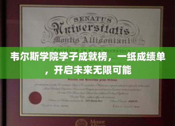 韦尔斯学院学子成就榜，一纸成绩单，开启未来无限可能