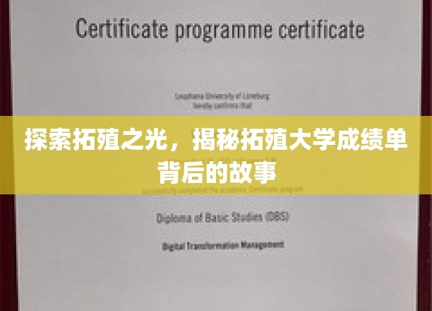 探索拓殖之光，揭秘拓殖大学成绩单背后的故事