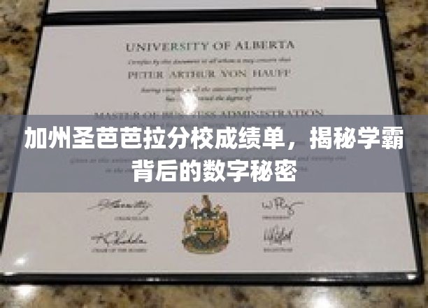 加州圣芭芭拉分校成绩单，揭秘学霸背后的数字秘密