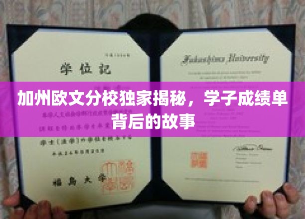 加州大学欧文分校独家探秘，学子成绩单背后的故事