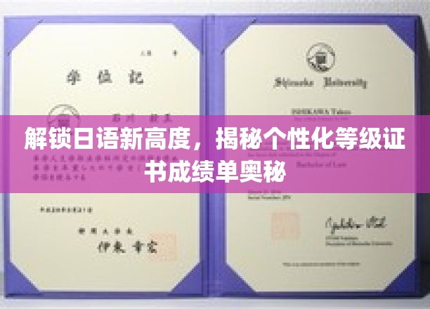 掌握日语新境界，揭秘个性化等级成绩单的奥秘之路
