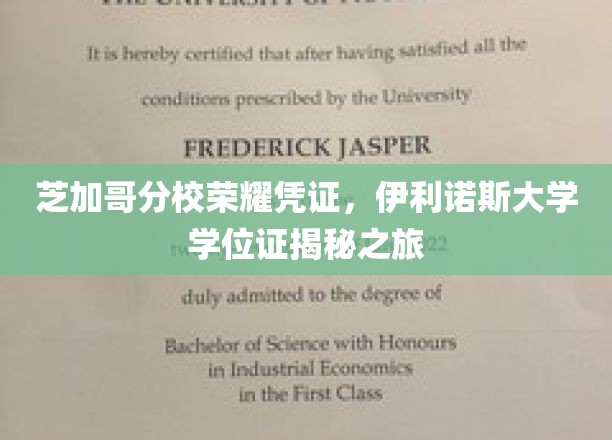 穿越伊利诺斯，揭秘芝加哥分校的荣耀学位证传奇