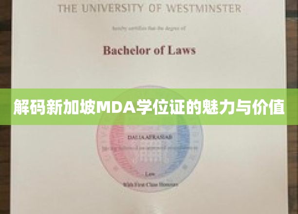 解码新加坡MDA学位证的魅力与价值