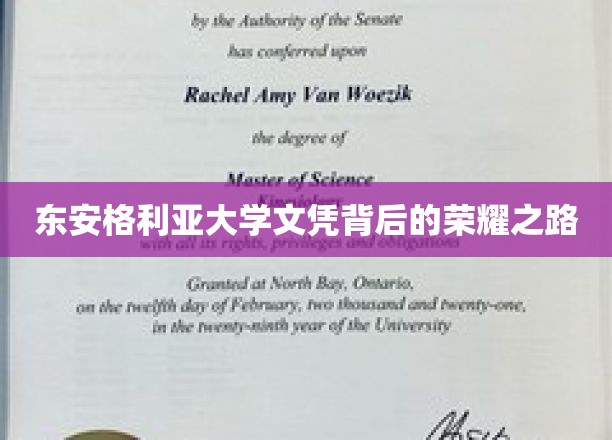 东安格利亚大学文凭背后的荣耀之路
