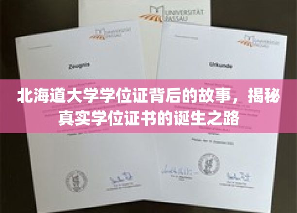 北海道大学学位证背后的传奇，探寻学位证书诞生的奥秘之旅