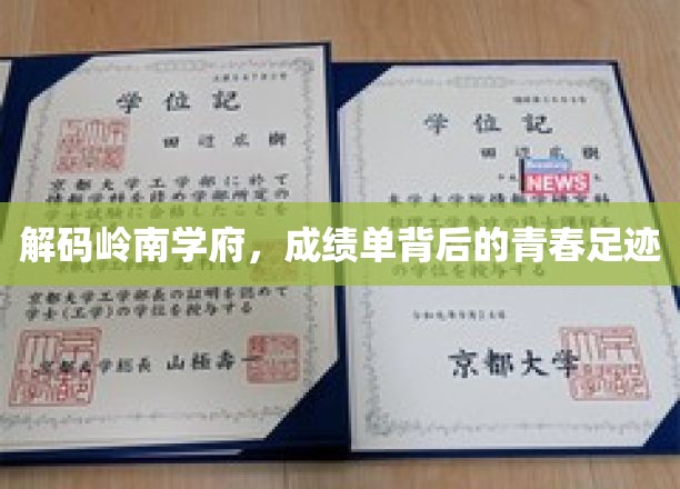 探寻岭南学府秘境，青春足迹里的成绩单启示录