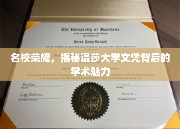 温莎大学文凭魅力揭秘，名校之光下的学术传奇