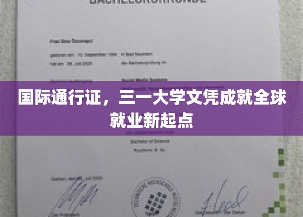 全球通行证在手，三一大学文凭开启就业新纪元