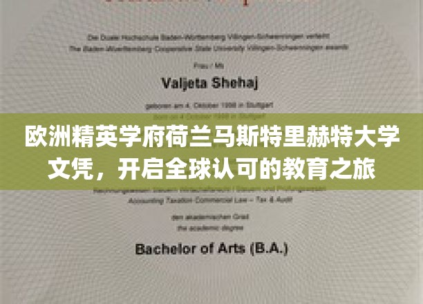 跨越国界，荷兰马斯特里赫特大学文凭助力全球职业飞跃