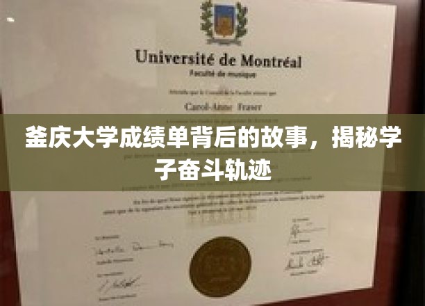 釜庆学子奋斗足迹，揭开成绩单背后的励志篇章