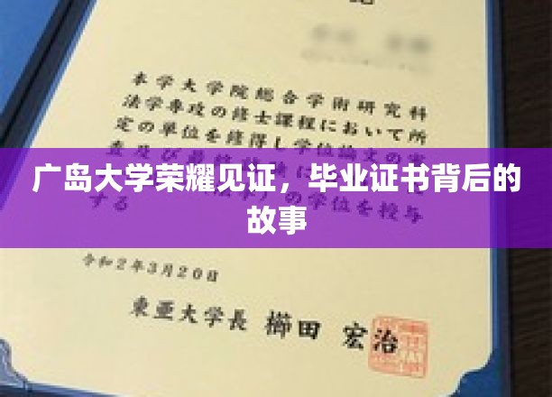 广岛大学荣耀见证，毕业证书背后的故事