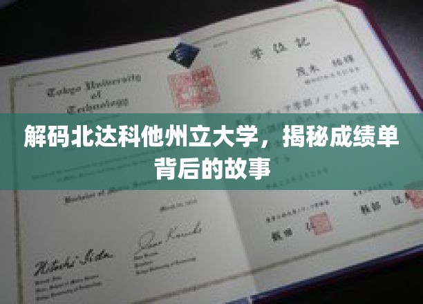 揭开北达科他大学成绩单背后的传奇篇章