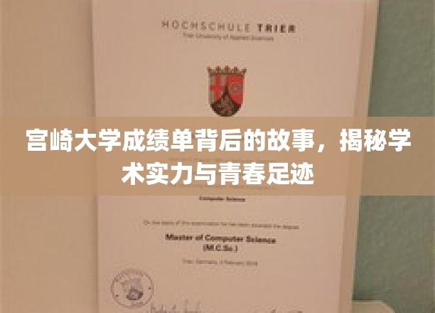 宫崎大学成绩单背后，探寻学术辉煌与青春足迹的交织