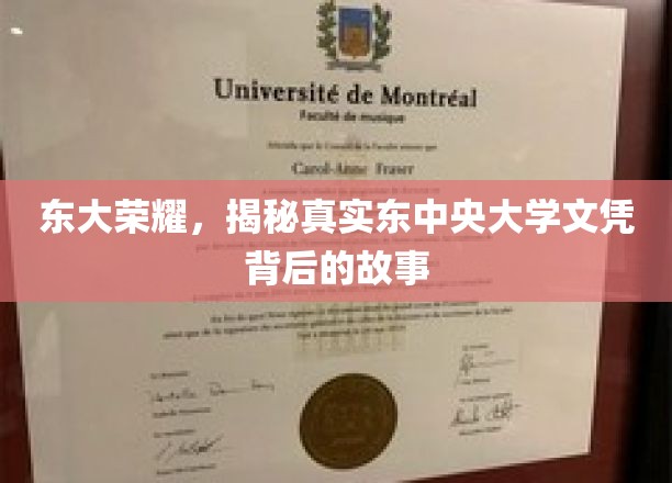 东大荣耀，探寻真实东中央大学文凭背后的传奇故事