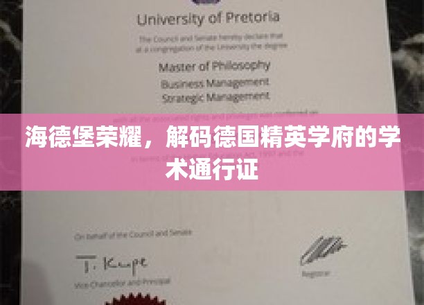海德堡荣耀，解码德国精英学府的学术通行证