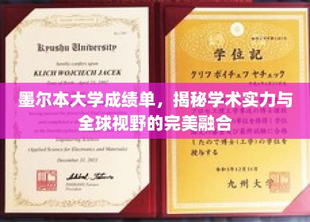 墨大成绩单背后的全球视野与学术实力双重魅力