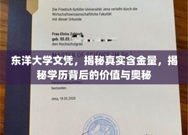 东洋大学文凭探秘，揭秘学历背后的价值与奥秘