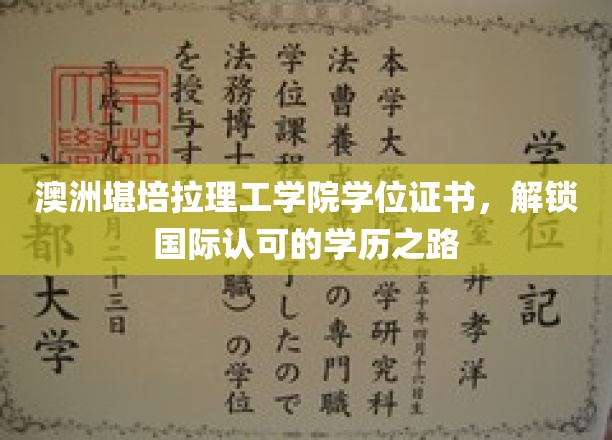 跨境学历新篇章，堪培拉理工学院，助力国际职场通行证
