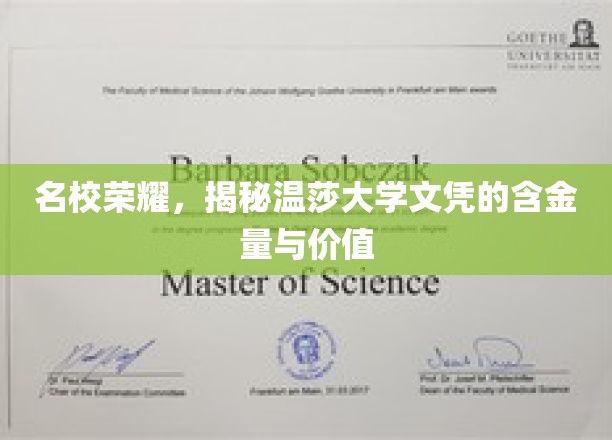 温莎大学文凭魅力揭秘，名校光环下的真实价值与潜力