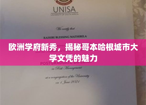 哥本哈根新星闪耀，探索丹麦城市大学文凭的独特吸引力