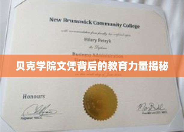 揭开贝克学院文凭背后的教育魅力之谜