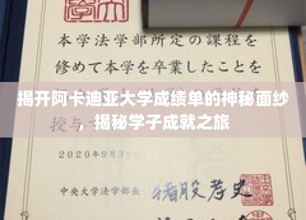 揭开阿卡迪亚大学成绩单的神秘面纱，探索学子成就之旅