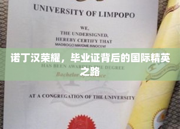 诺丁汉之光，揭秘毕业证背后的全球精英成长轨迹