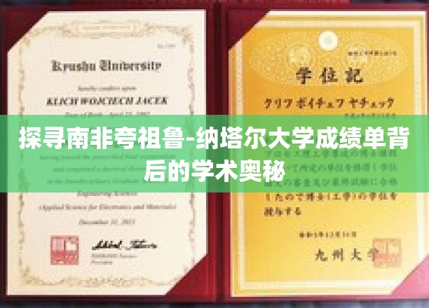 解码夸祖鲁-纳塔尔大学成绩单，南非学术之旅的秘密线索