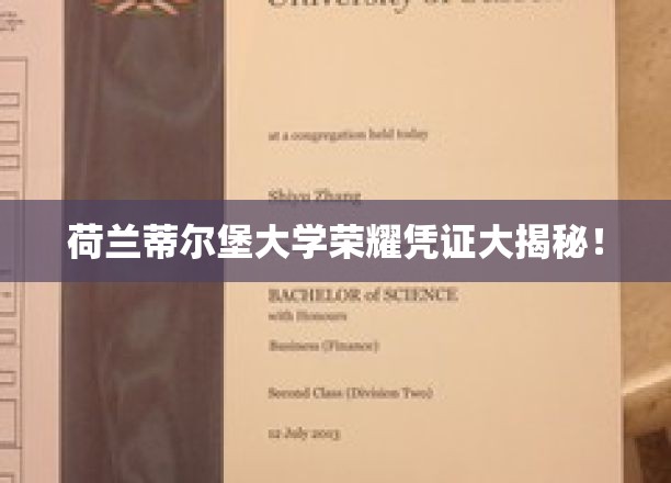 荷兰蒂尔堡大学证书背后的荣耀秘密大公开
