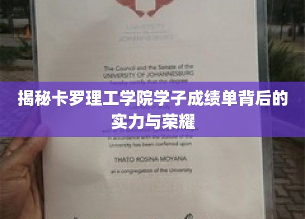 揭秘卡罗理工学院学子成绩单背后的实力与荣耀