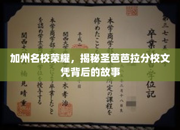 加州圣芭芭拉之光，揭秘名校文凭的荣耀与背后传奇