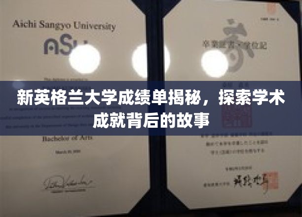 解锁新英格兰大学背后的卓越成就，揭开成绩单背后的神秘面纱