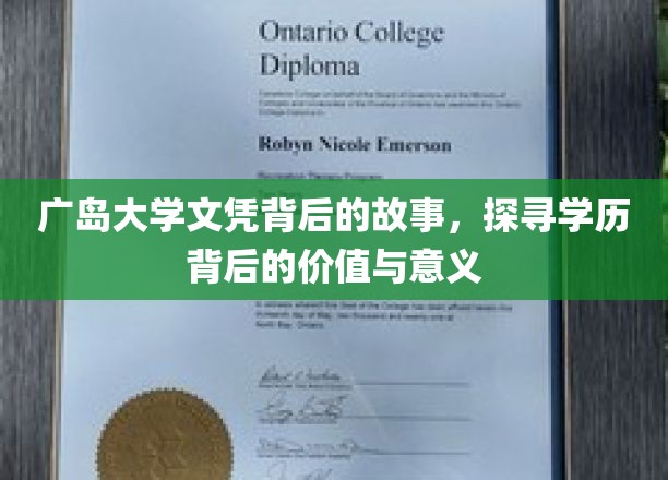 广岛大学文凭背后的故事，探寻学历背后的价值与意义