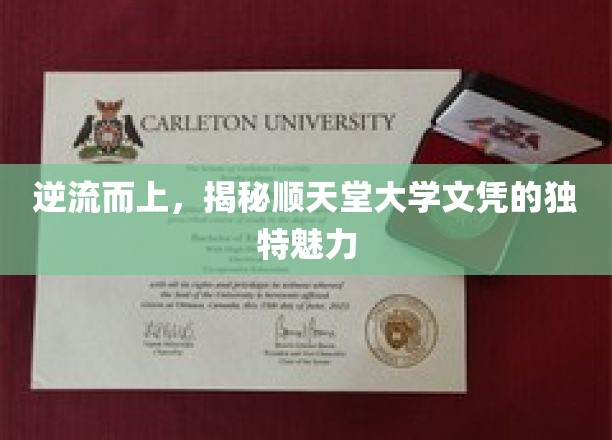 逆流璀璨，探寻顺天堂大学文凭的非凡吸引力