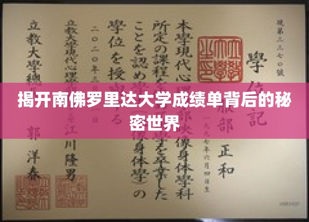 解码南佛罗里达大学成绩单的神秘面纱