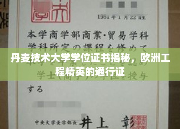 揭秘，丹麦技术大学学位证书，欧洲工程领域的精英通行证