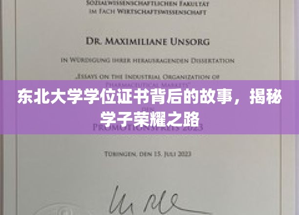 东北学子荣耀足迹，揭秘东北大学学位证书背后的传奇历程
