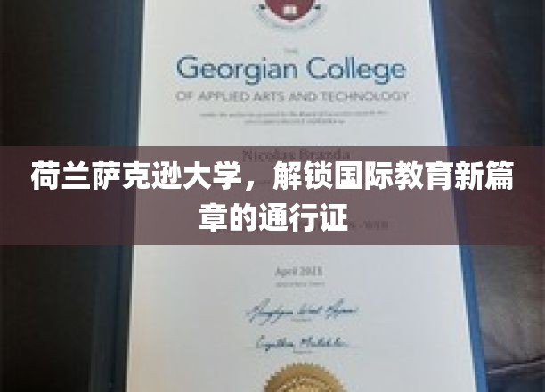 跨国学术桥梁，荷兰萨克逊大学引领国际教育新时代