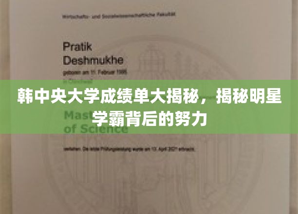 韩中央大学学霸明星，揭开努力背后的成绩单秘密