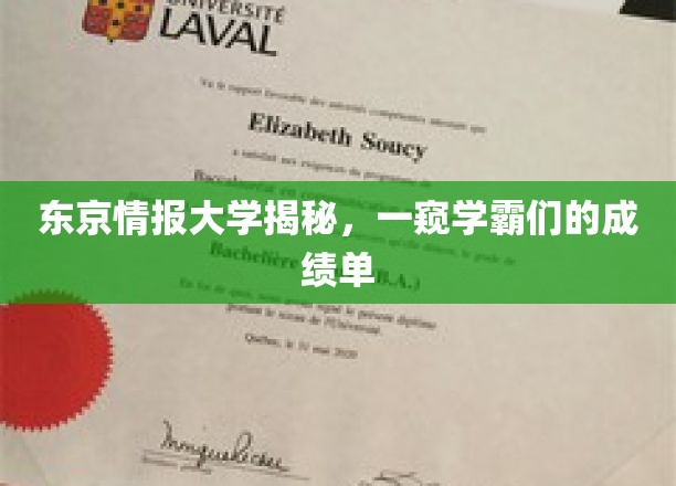 东京情报大学揭秘，一窥学霸们的成绩单