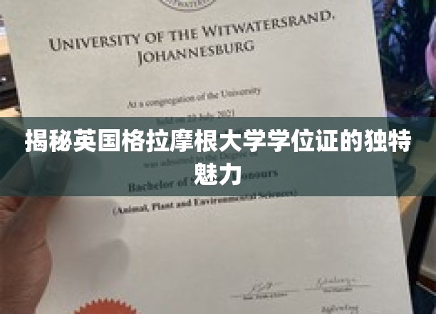 探寻格拉摩根大学学位证的非凡风采