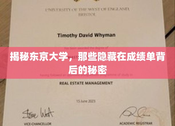东京大学揭秘，揭开成绩单背后的不为人知故事