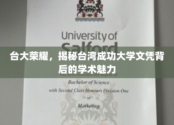 台大之光，探秘台湾成功大学文凭背后的卓越学术风采