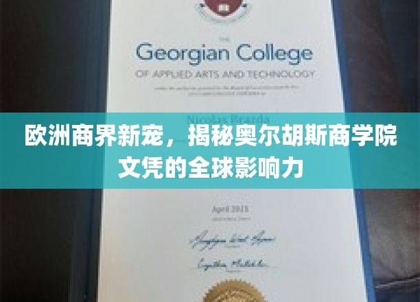 欧洲商界新星的摇篮，奥尔胡斯商学院文凭的国际魅力揭秘