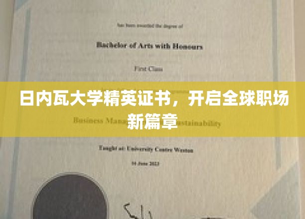 日内瓦大学精英通行证，引领国际职场未来潮流