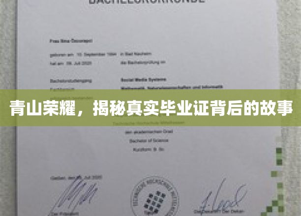 青山荣耀，揭秘毕业证背后的真实故事