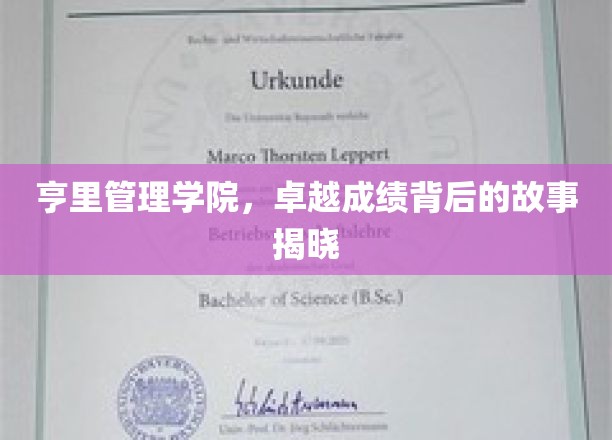 揭开亨里管理学院辉煌成就的秘密面纱