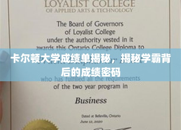 卡尔顿大学成绩单揭秘，探寻学霸背后的成绩奥秘